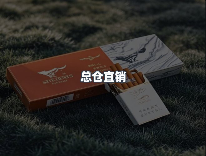 服务优势
